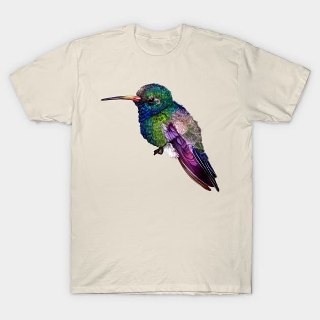 Hummingbird ~ T-Shirt by rocioam7